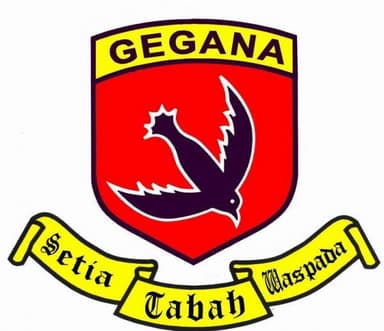PASUKAN GEGANA
